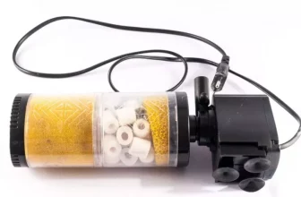 Welche Aquariumfilter eignen sich am besten für Süßwasserfische?